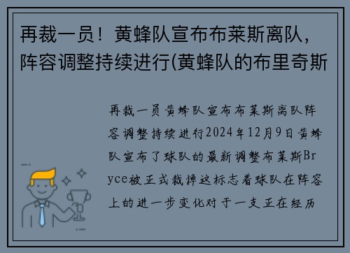 再裁一员！黄蜂队宣布布莱斯离队，阵容调整持续进行(黄蜂队的布里奇斯)