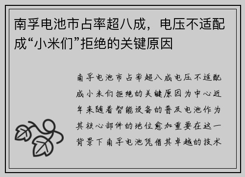 南孚电池市占率超八成，电压不适配成“小米们”拒绝的关键原因